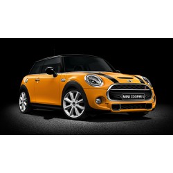 MINI (1)
