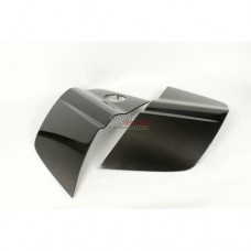 AUDI R8 V10 CARBON SIDE BLADES for V8 fitment